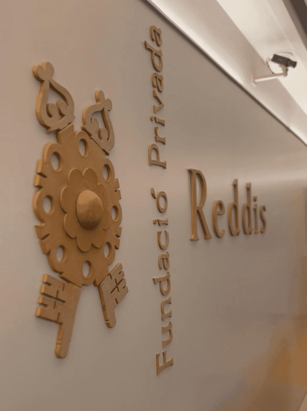 Fundació Privada Reddis