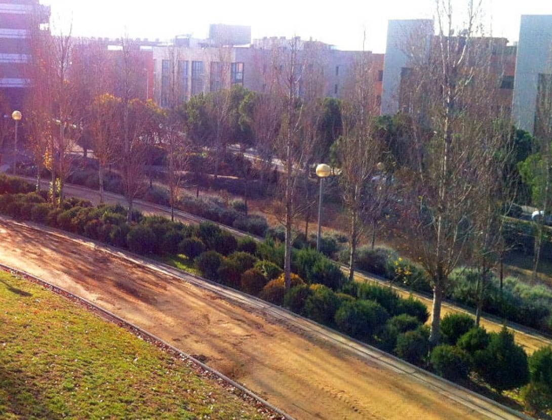 Parque de Can Corts