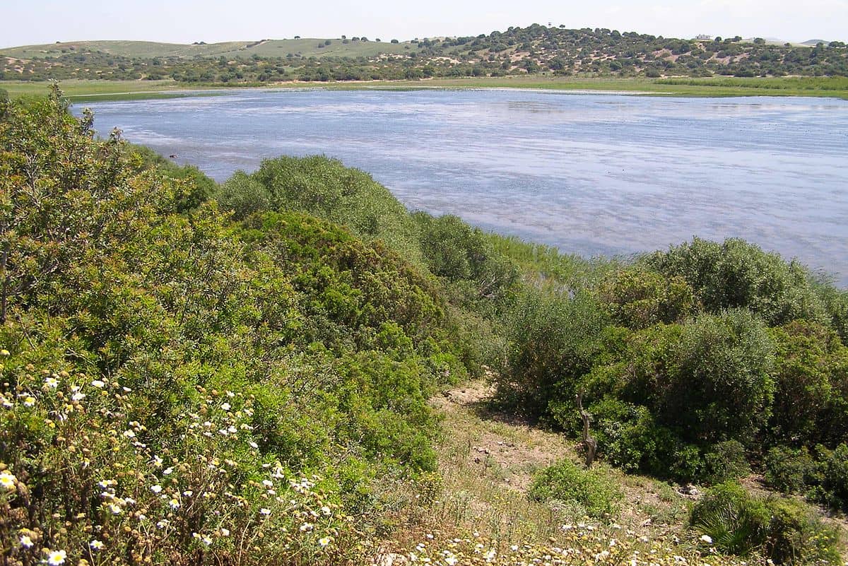 Reserva Natural Complejo Endorreico de Chiclana