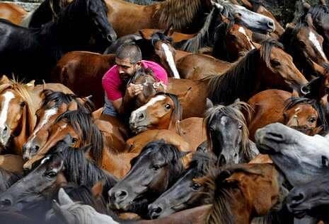 Monte Castrove y Curro de San Ramón