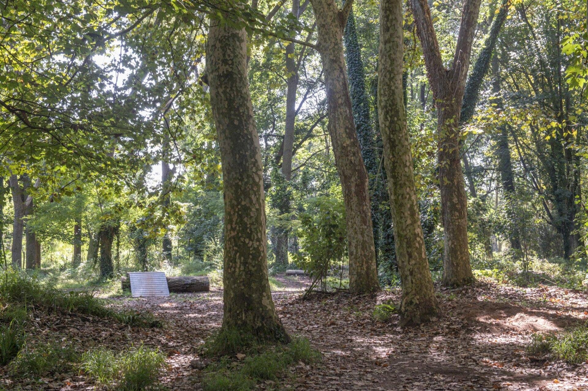 Parque de Las Tablas