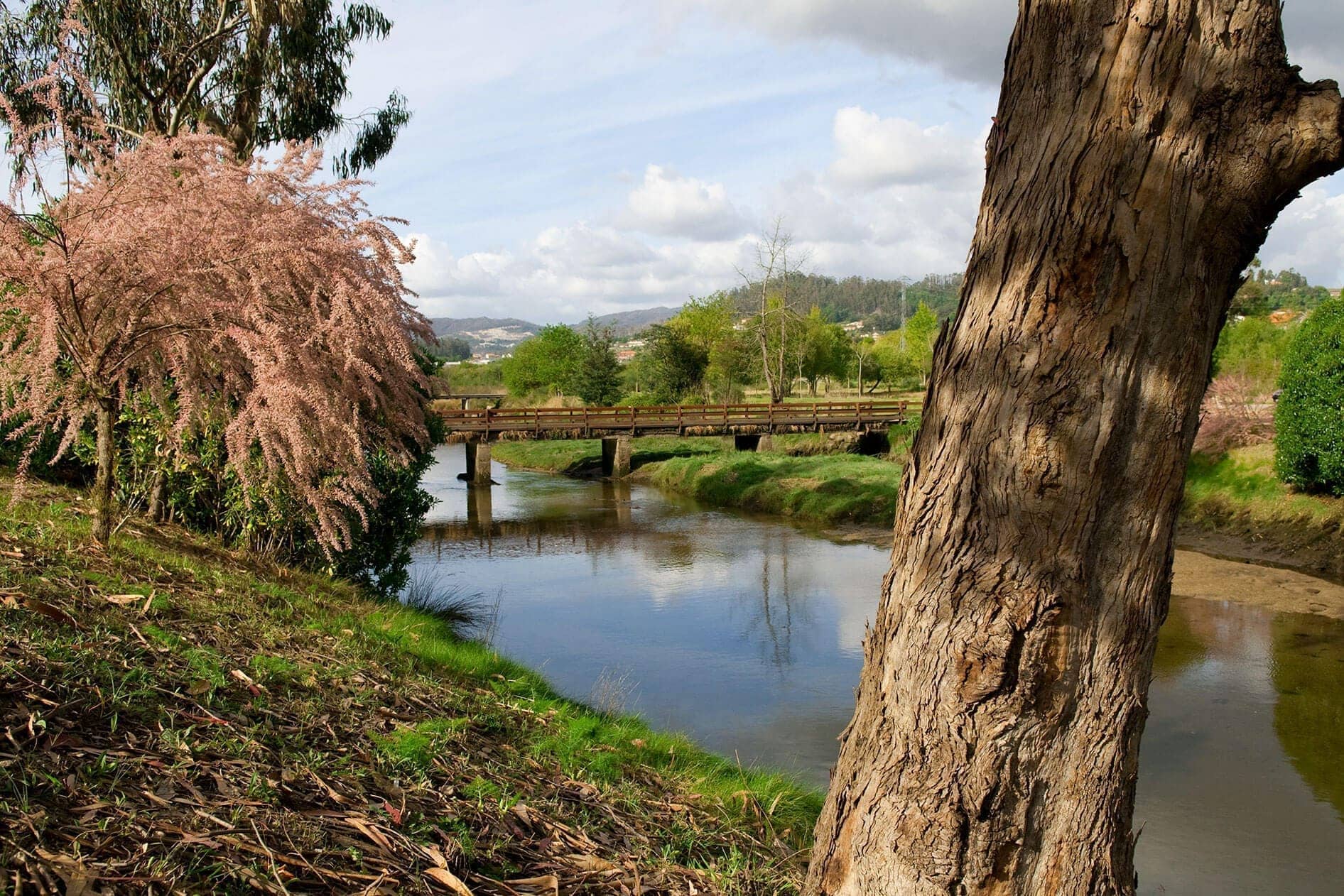 Espacio Natural de Interés Local (ENIL) de A Xunqueira de Alba