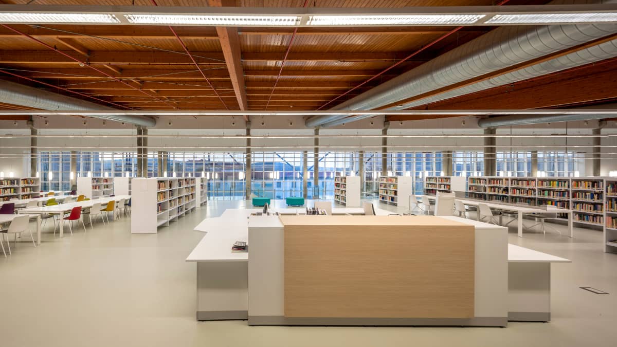 Muestra bibliográfica Palestina