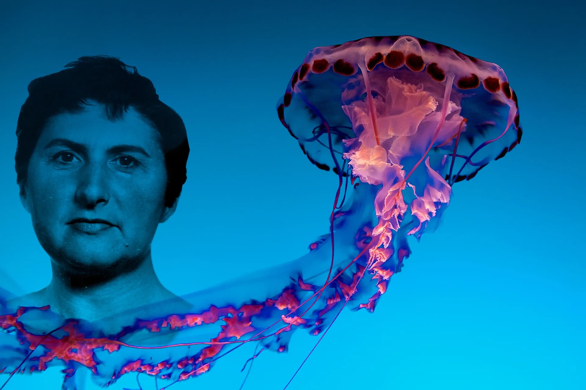 Homenaje a Ángeles Alvariño el Jueves de Comadres