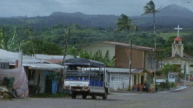 NOVOS CINEMAS - CARTA BRANCA MÍMESIS | 4 CURTAS