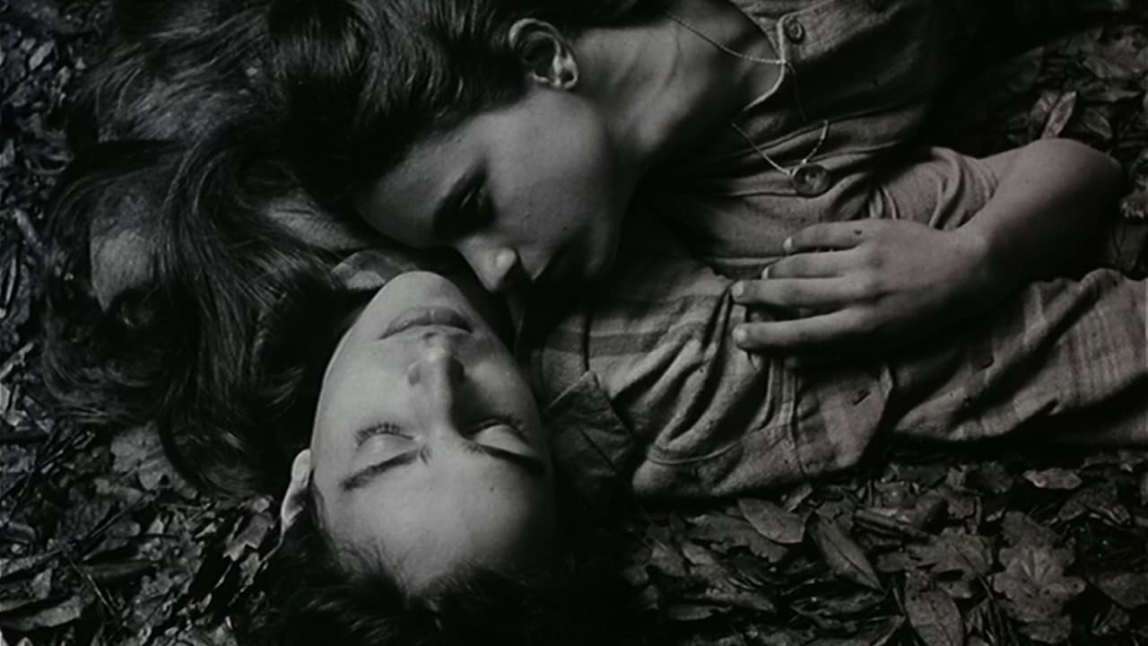 Proyección de 'Frágil como el mundo'