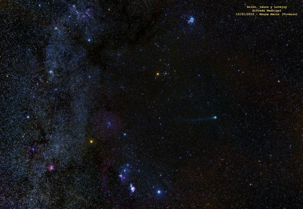 O universo de Fredo