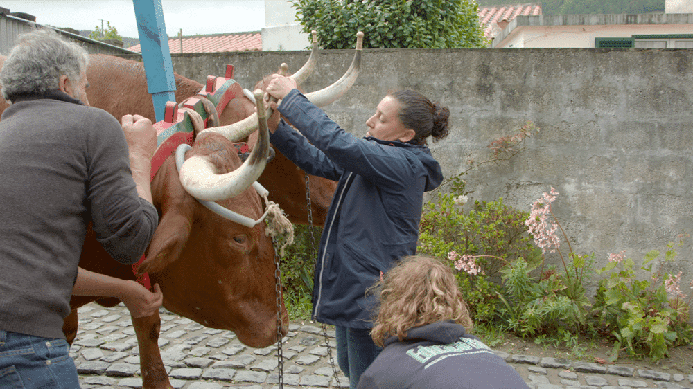 Mulleres de Abril: 'Mulheres do Meu País'