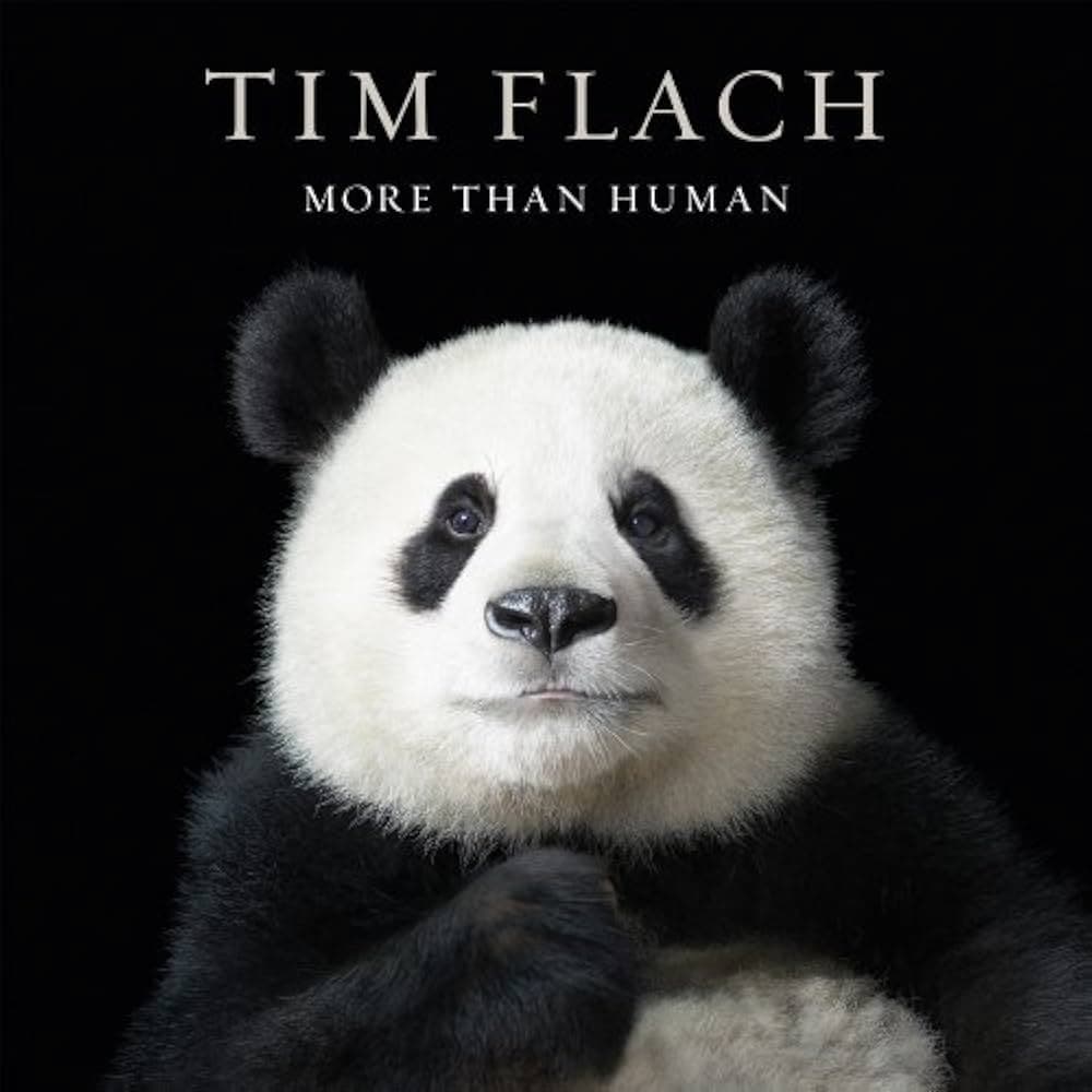 Emocións en perigo. Fotografías de Tim Flach - Visita familiar