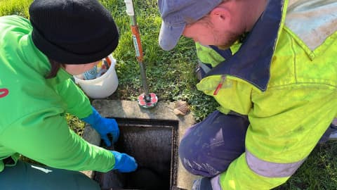 Plan de fin de semana: Iníciate en el mundo de las setas en Lugo