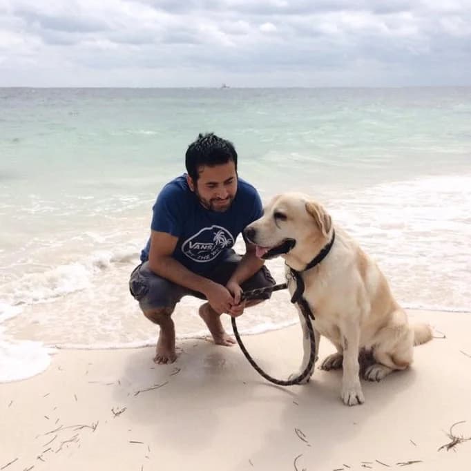 SHOWROOM 'RESORT 42'