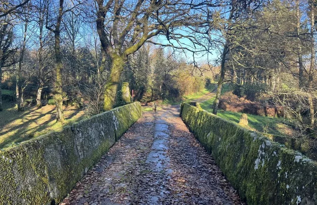 Ruta a orillas del río en Lugo (Paseo do Río Rato)