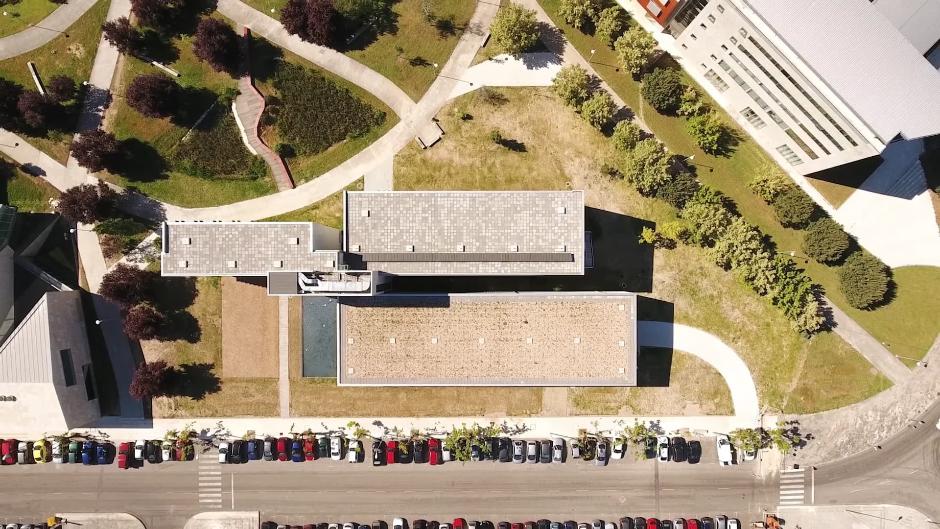 Festival de Natación Solidario (4º Festival Campus Auga)