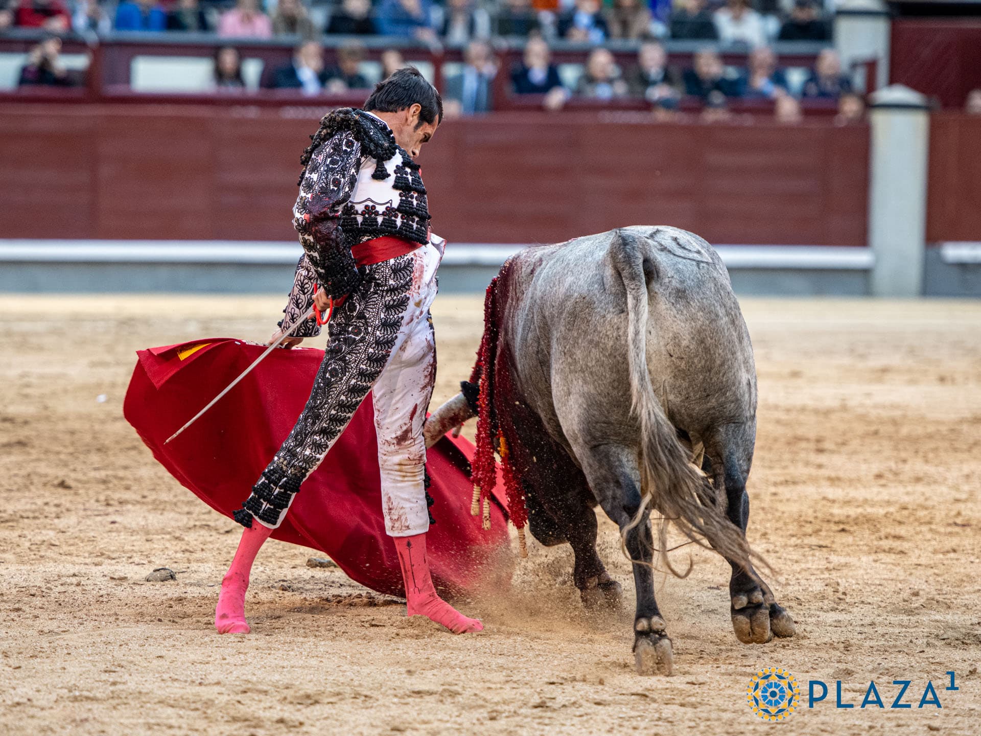 Corrida de Toros de Alcurrucén