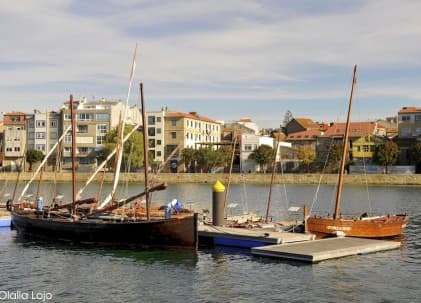 Bar Ribeiro en Bouzas: Tapas, Marisco y el Encanto de la Tasca Viguesa