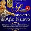 Johann Strauss. Gran Concierto de Año Nuevo