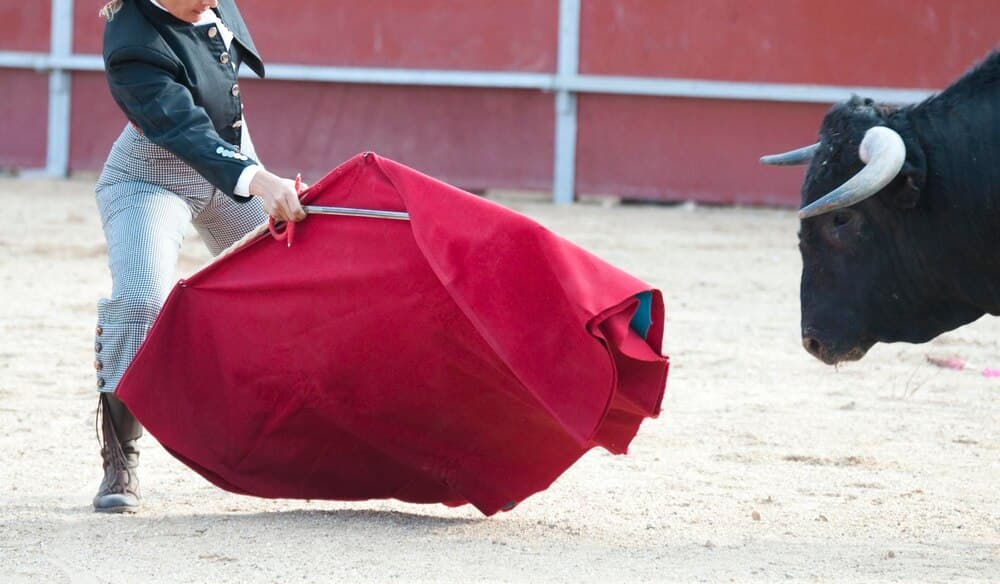 Presentación de la próxima feria taurina de la Peregrina