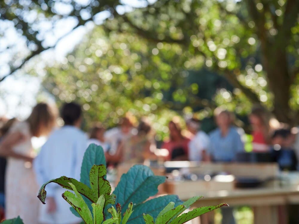 Plantfest