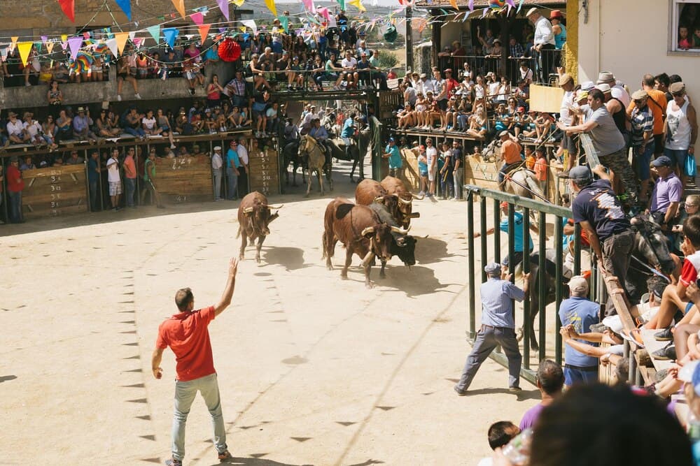Becerrada popular