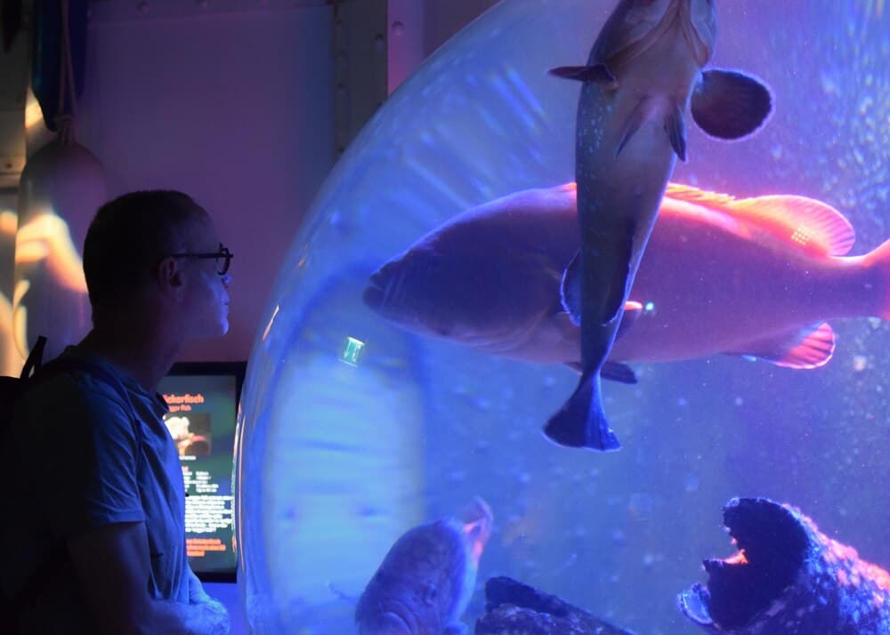Jornada de Puertas Abiertas del Centro Oceanográfico de A Coruña