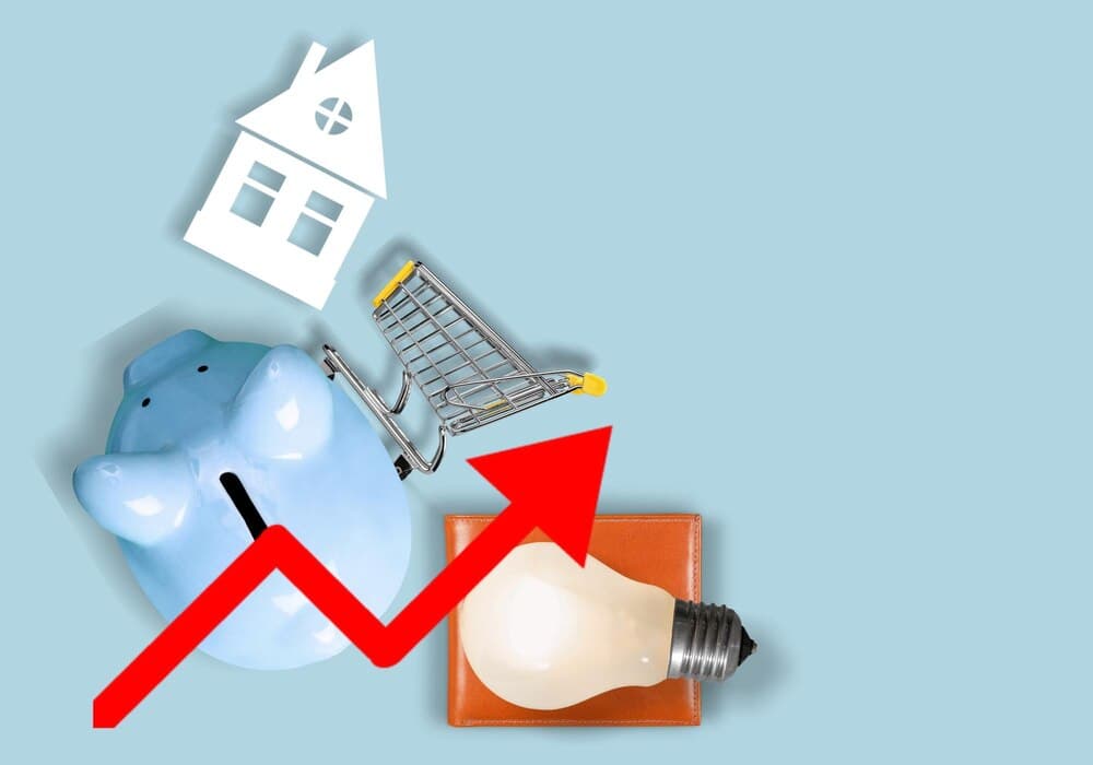 Economía doméstica