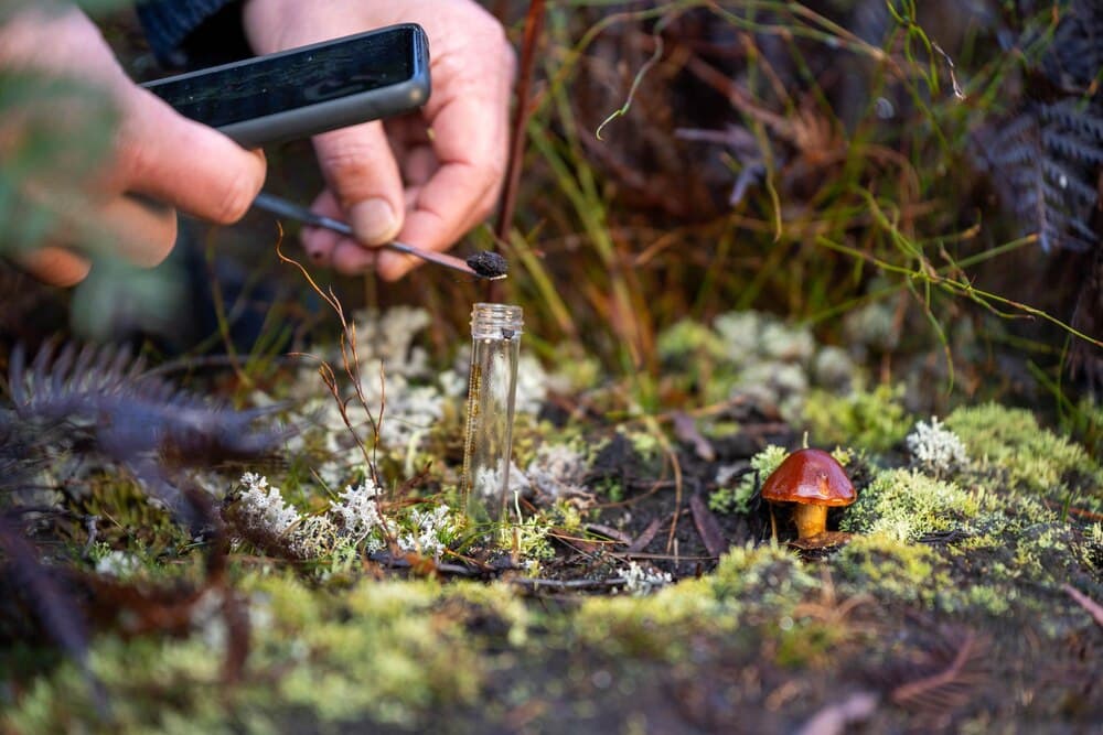 Iniciación á Micoloxía