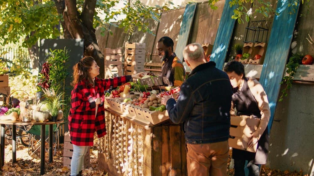 Mercado del proyecto educativo Semente