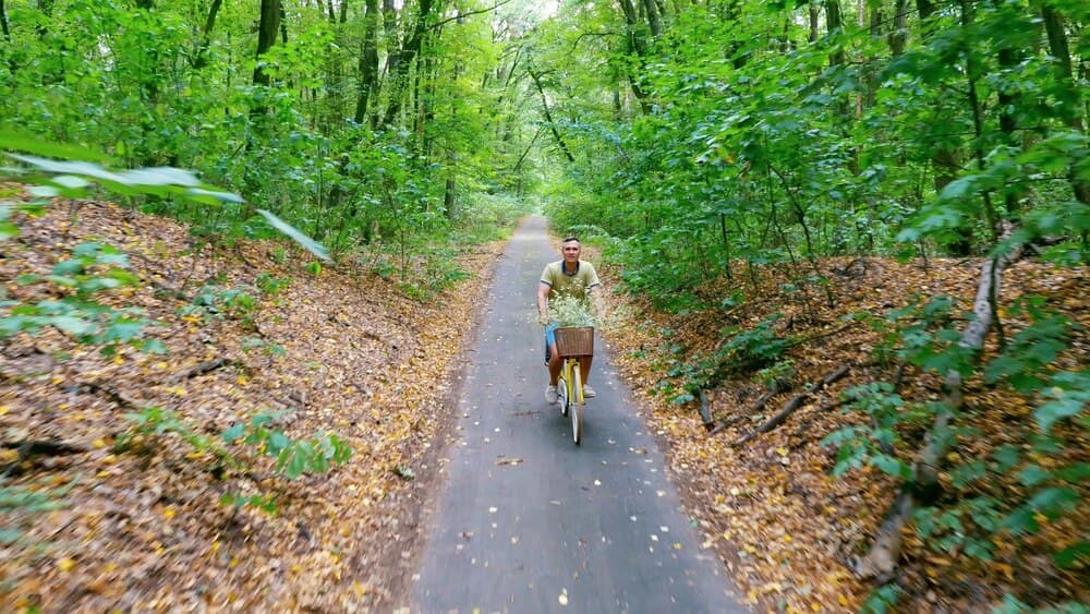 Rutas por la Pontevedra más verde (II): los parques forestales de A Fracha, A Tomba y Pontillón do Castro
