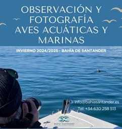 Ruta en barco para observación y fotografía de aves acuáticas por la Bahía de Santander