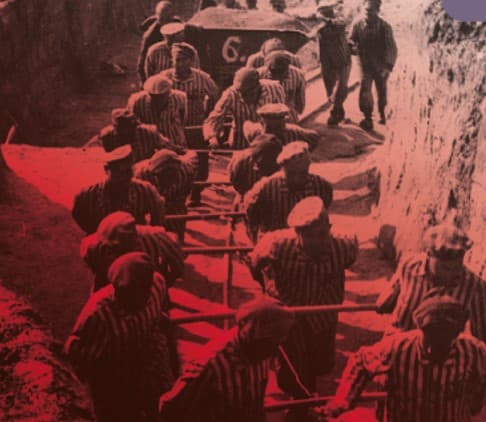 Holocaust i Deportació: història, memòria i cinema
