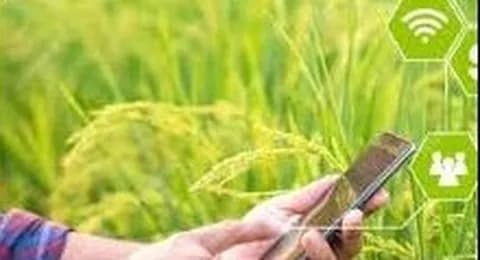 Cursos gratuitos para el rural