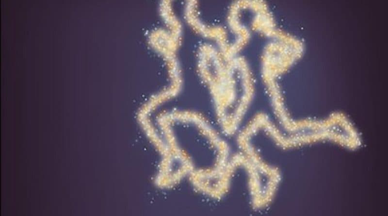 XII Carrera Popular Nocturna Ríos de Luz