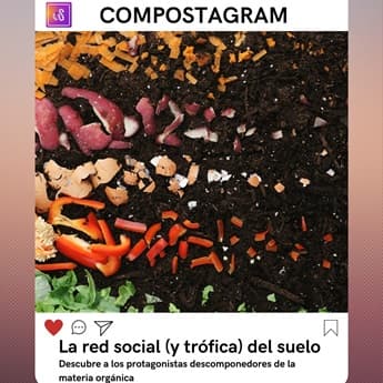 Compostagram. La red social (y trófica) del suelo