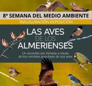 Exposición 'Las aves de los almerienses'