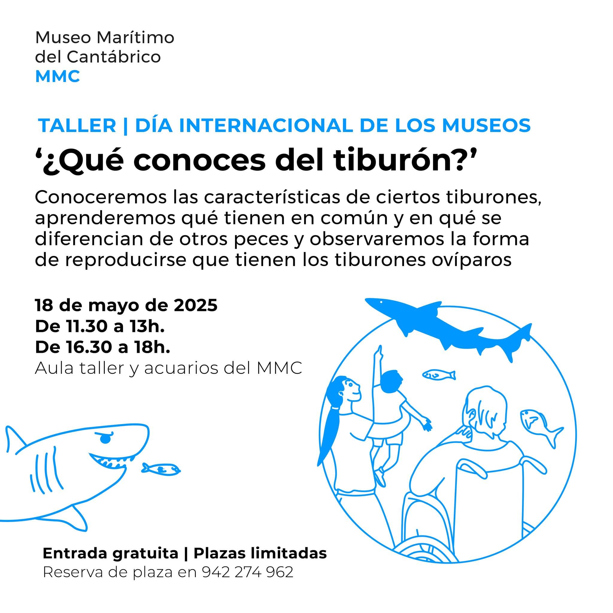 ¿Qué conoces del tiburón?