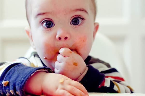 Xerrada sobre 'Baby Led Weaning (BLW)'