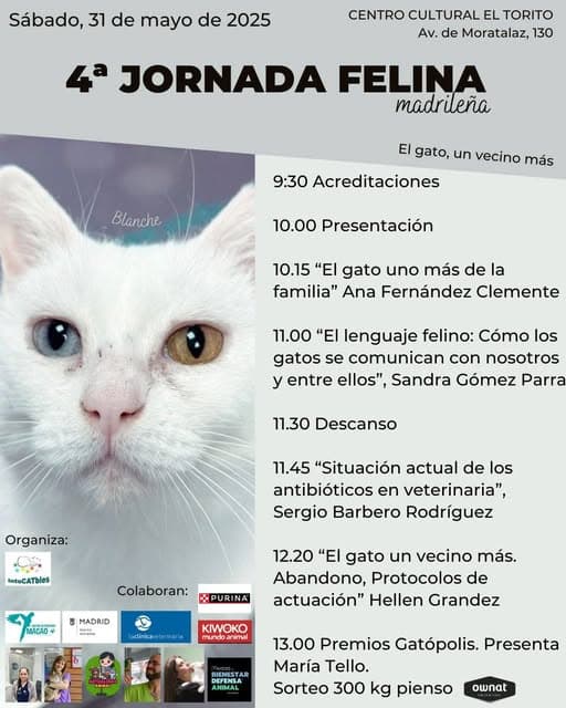 IV Jornada felina madrileña