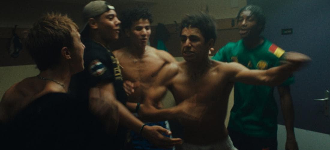 LA DANSE DES RENARDS / WILD FOXES / O BAILE DOS RAPOSOS