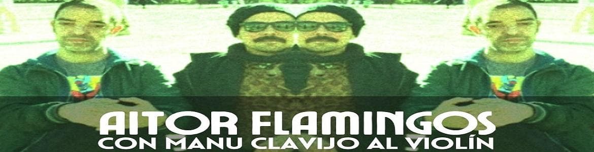 Concierto de Aitor Flamingos