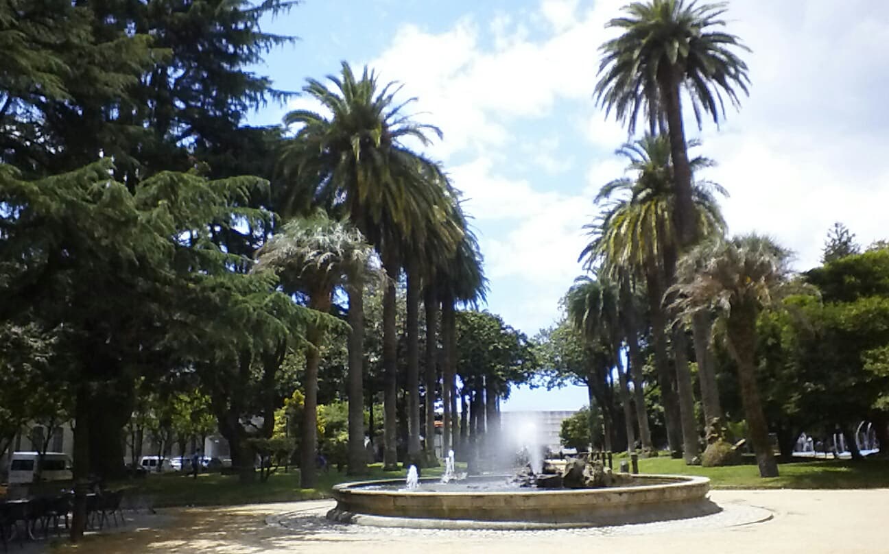 Palm Trees Park - Wikipedia