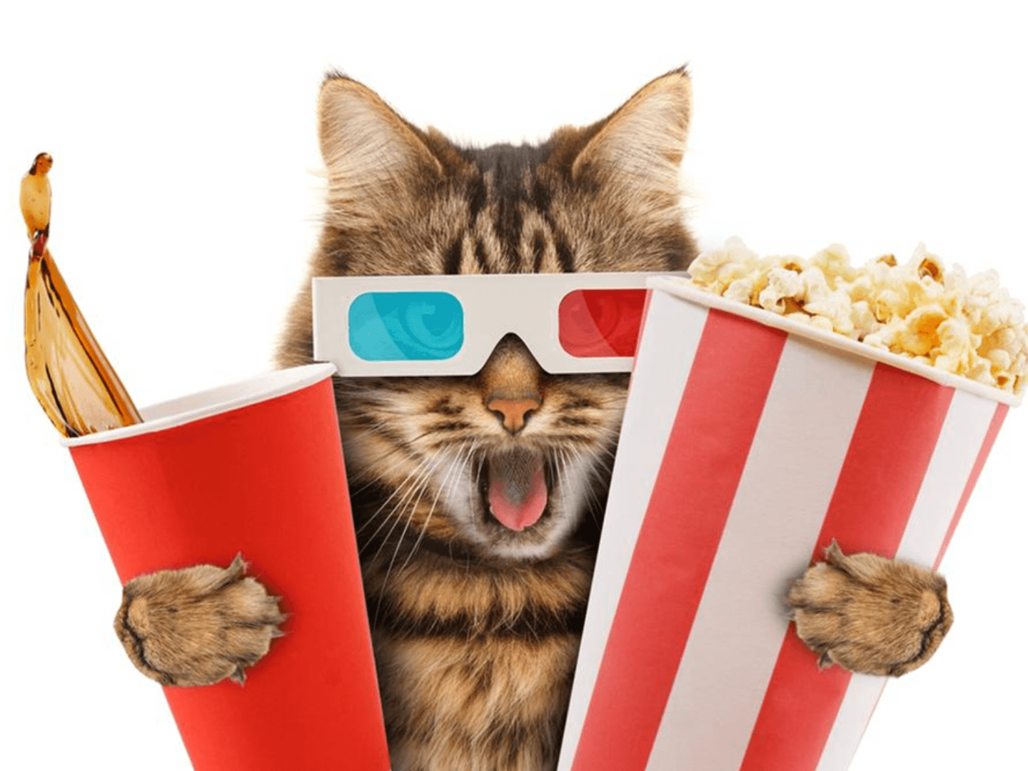Club de cinema