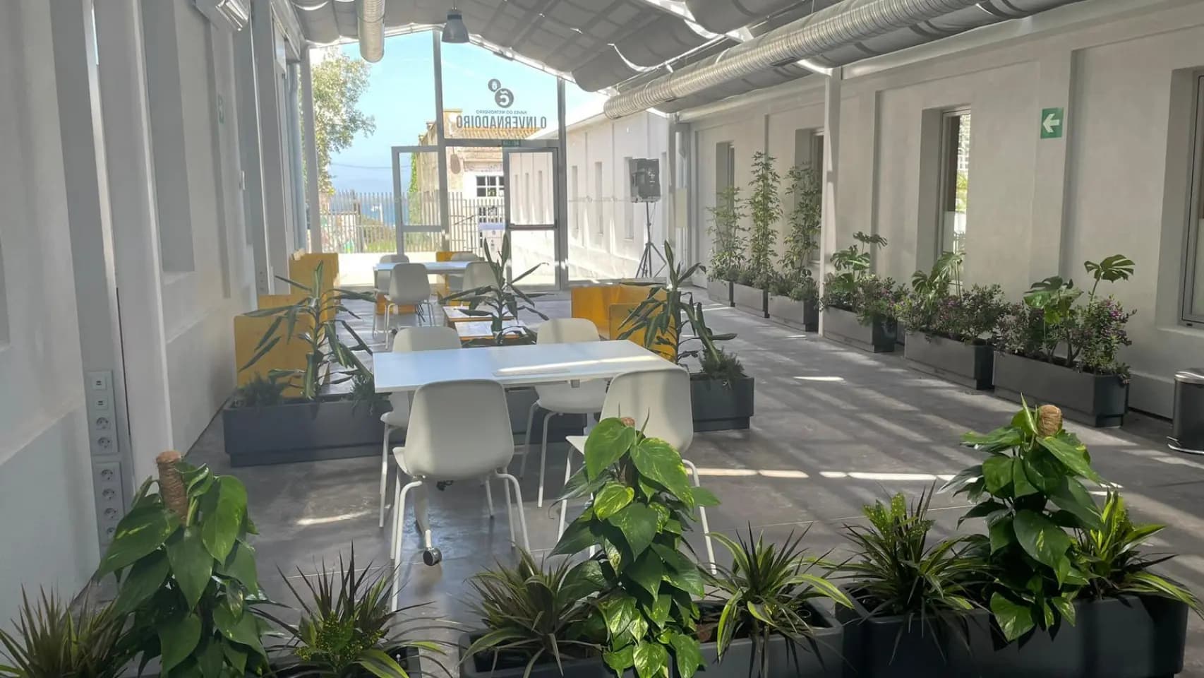 Podcast 'Fuera de Guión': El juego en línea y sus fronteras