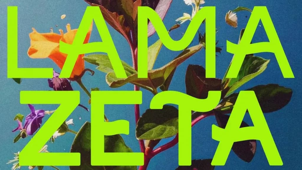 Mercado sostenible Lama Zeta