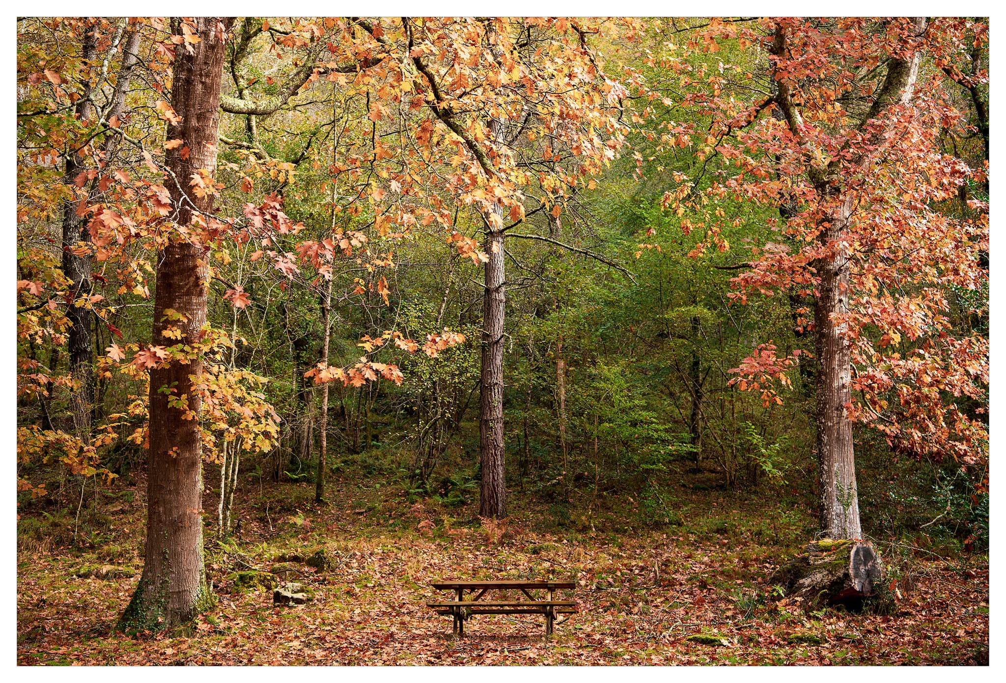 Nuevo taller de fotografía de paisaje