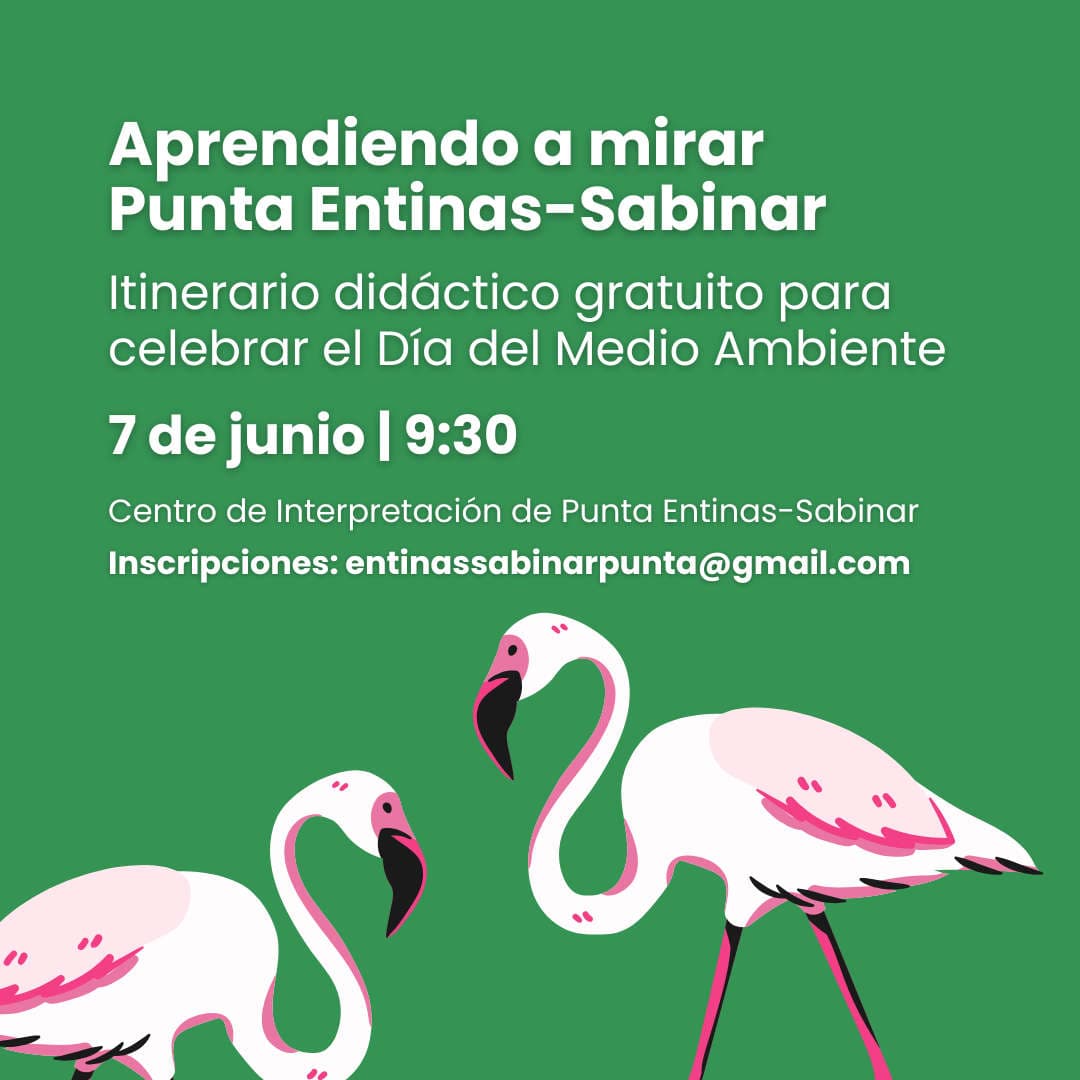 Aprendiendo a mirar Punta Entinas-Sabinar
