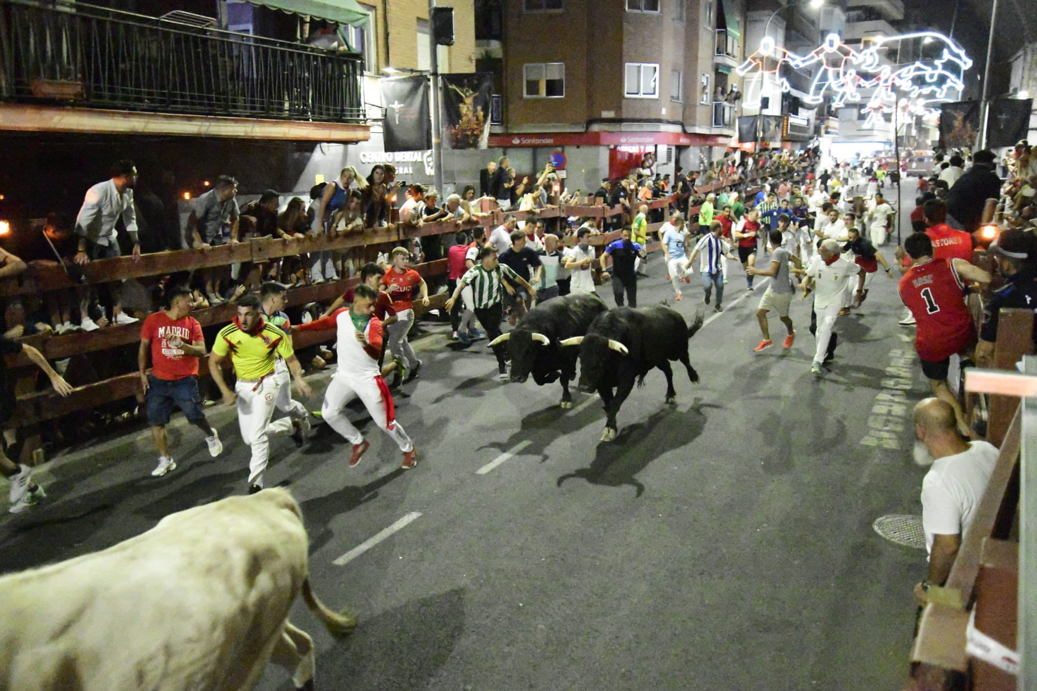 Encierros Fiestas Santísimo Cristo de los Remedios