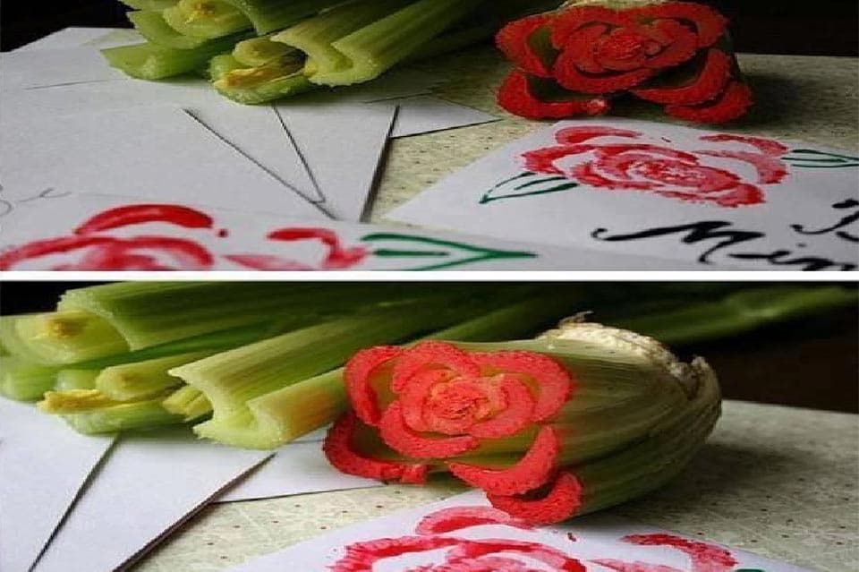 Taller d'Estampació de roses amb fruites i verdures