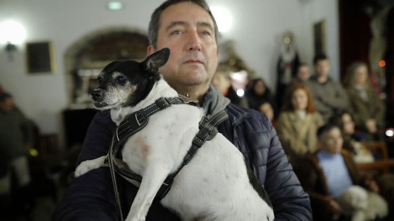 Bendición de las mascotas