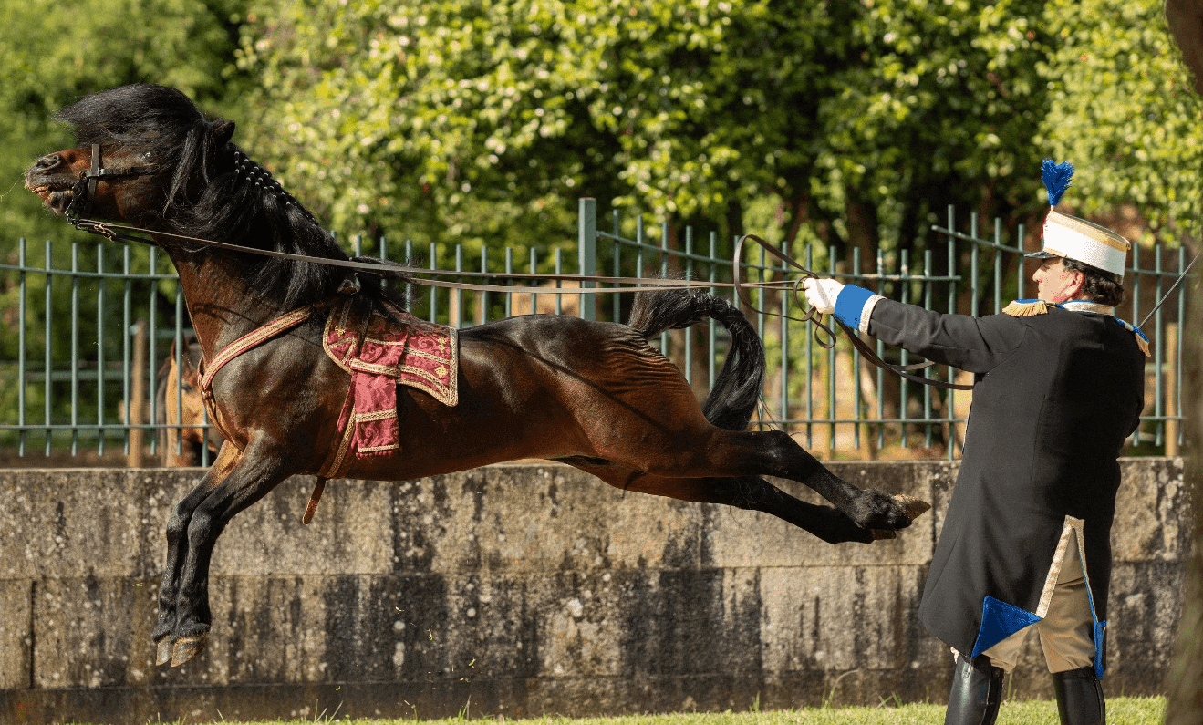 Feria caballar de la Ascensión