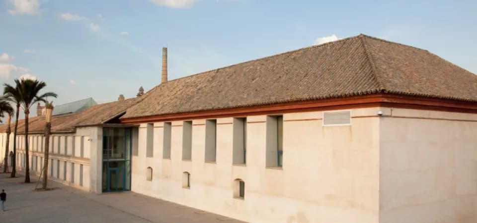 Visitas históricas IAPH